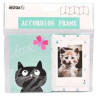 Fujifilm Instax Accordéon chat