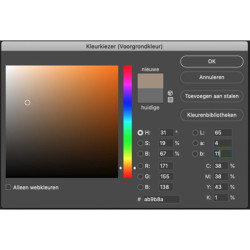 Colorama fond Cappuccino 2.72mx11m