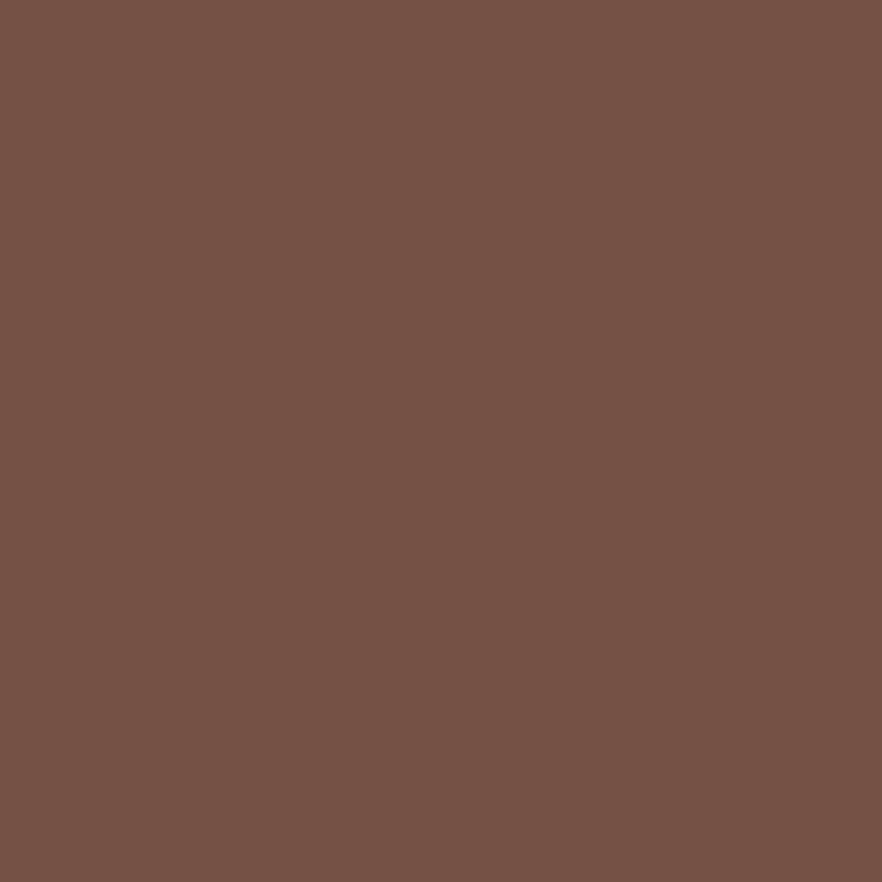 Colorama fond de studio 2,72 x 11 m "Peat Brown"