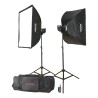 Godox MS200-F Kit - kit de flashs de studio