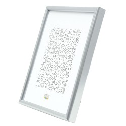 Deknudt Cadre Argenté 40x60 (S011D1)