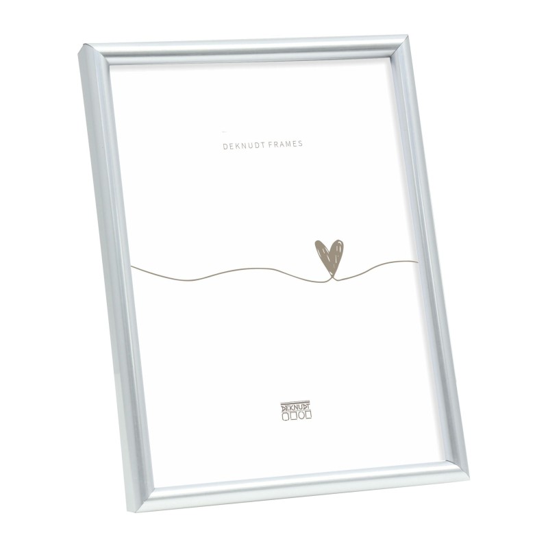 Deknudt Cadre Argenté 40x50 (S011D1)