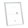 Deknudt Cadre Argenté 40x50 (S011D1)